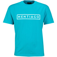 Herren T-Shirt mit beflocktem Print Türkis 3